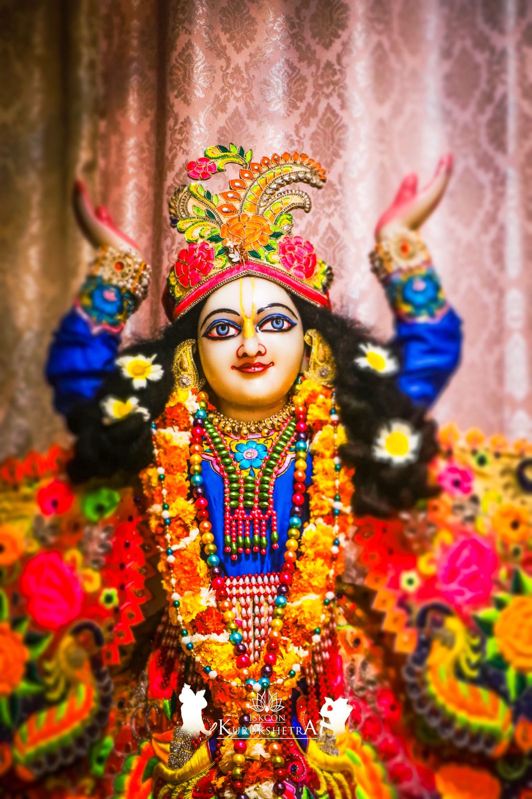 Daily Darshan
